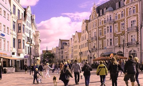 Image / illustration